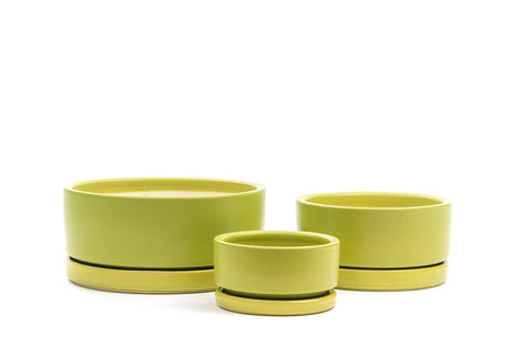 8.25" Gemstone Low-Bowls with Water Saucers: Dusty Rose