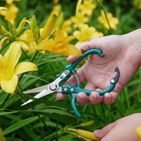 New Colors! Garden Shears : Sage