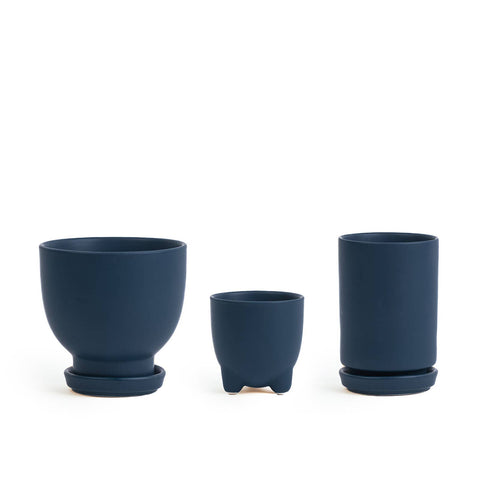 Plant Junkie Set - 16 pc/cspk: Textured Forest