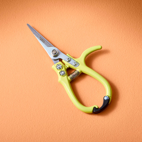 New Colors! Garden Shears : Sage