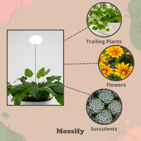 Adjustable LED Plant Light: Black