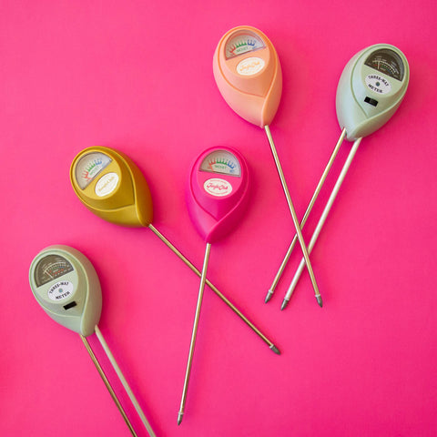 Moisture Meter | Grapefruit