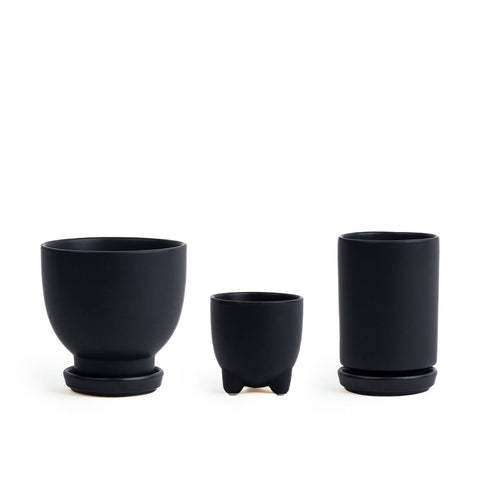 Plant Junkie Set - 16 pc/cspk: Textured Forest