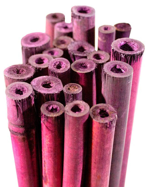 Bamboo Plant Stakes 24in 25 Pack: Natural