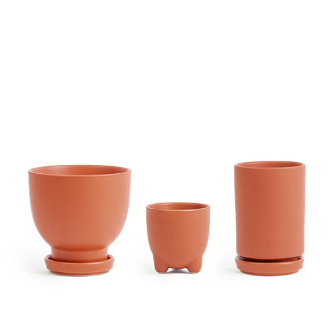 Plant Junkie Set - 16 pc/cspk: Textured Forest