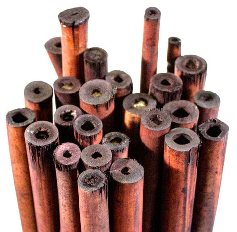 Bamboo Plant Stakes 24in 25 Pack: Natural