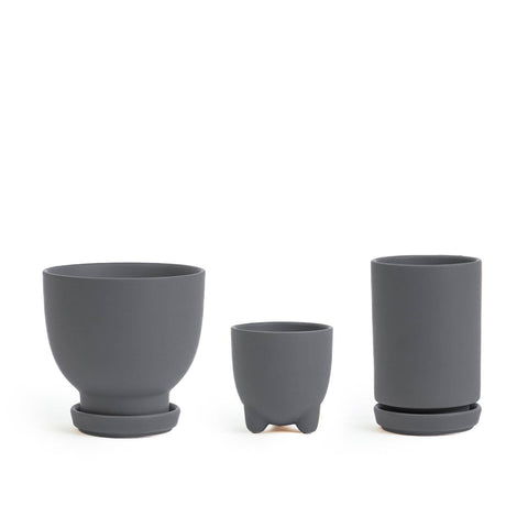 Plant Junkie Set - 16 pc/cspk: Textured Forest