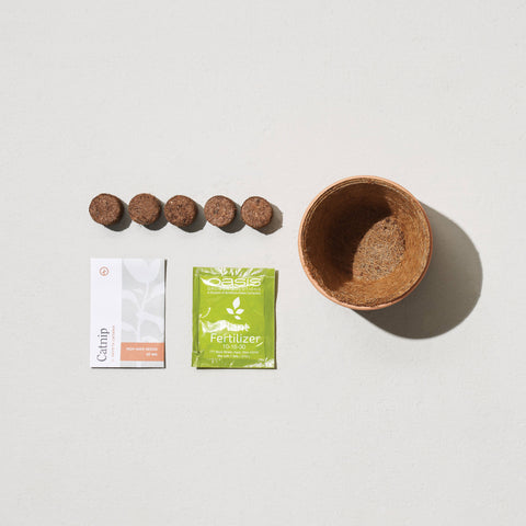 Tiny Terracotta Grow Kits: Good Luck Clover