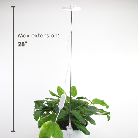 Adjustable LED Plant Light: Black