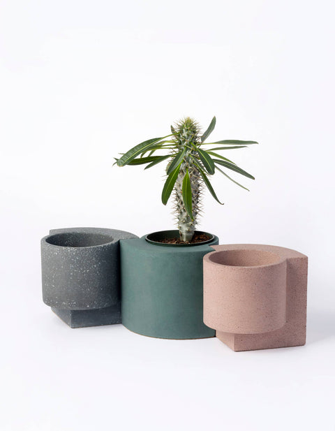 Platform Planter Small - Jungle