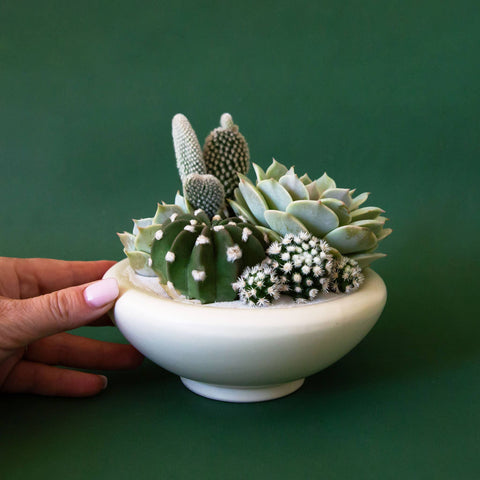 Birdie Bowl | Vintage White : 6.25 inch