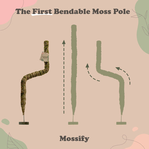 Original Bendable Moss Pole™ - Climbing Plants - Best Seller: 16" (Small)
