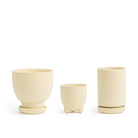 Plant Junkie Set - 16 pc/cspk: Textured Forest