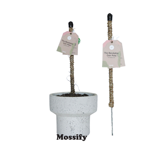 Original Bendable Coir Pole™ - Climbing Plants - Best Seller: 42" (Large)