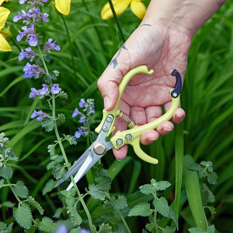 New Colors! Garden Shears : Sage