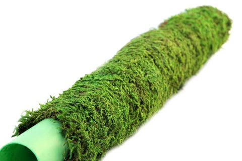 SuperMoss Moss Poles: 36"