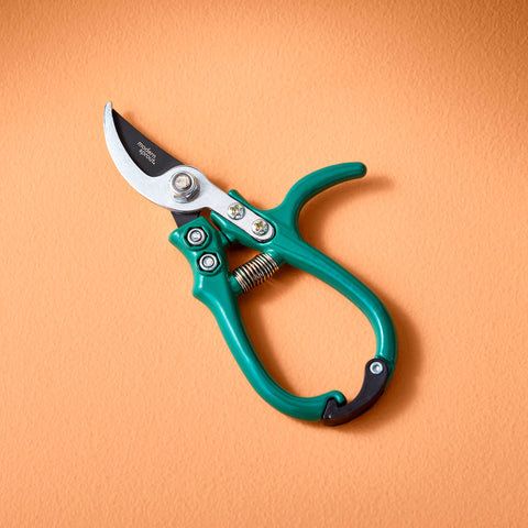 New Colors! Garden Pruners: Sage