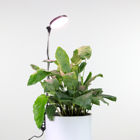 Adjustable LED Plant Light: Black