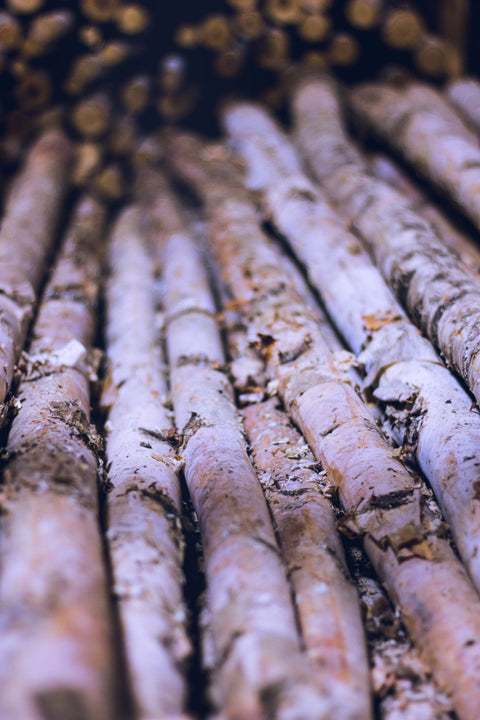 Birch Poles: 4 foot