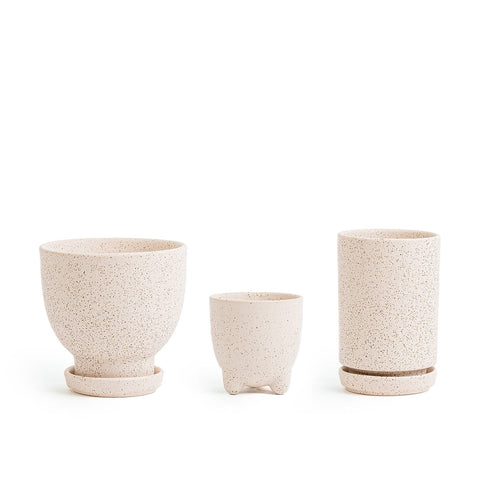 Plant Junkie Set - 16 pc/cspk: Textured Forest