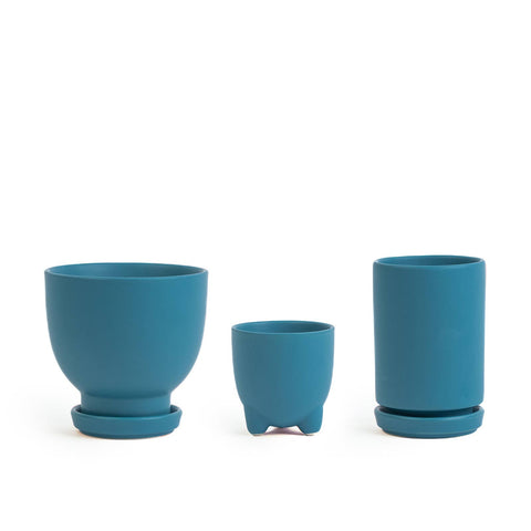 Plant Junkie Set - 16 pc/cspk: Textured Forest