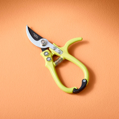 New Colors! Garden Pruners: Sage