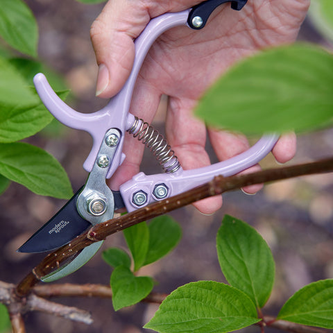 New Colors! Garden Pruners: Sage