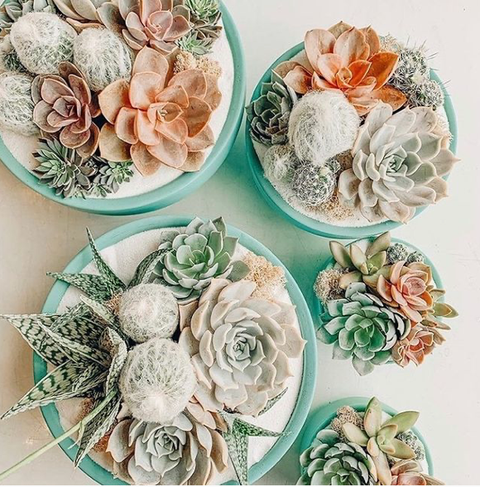 8.25" Gemstone Low-Bowls with Water Saucers: Dusty Rose