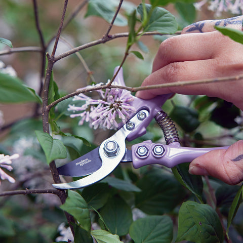 New Colors! Garden Pruners: Sage