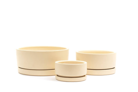 8.25" Gemstone Low-Bowls with Water Saucers: Dusty Rose