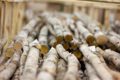Birch Poles: 4 foot