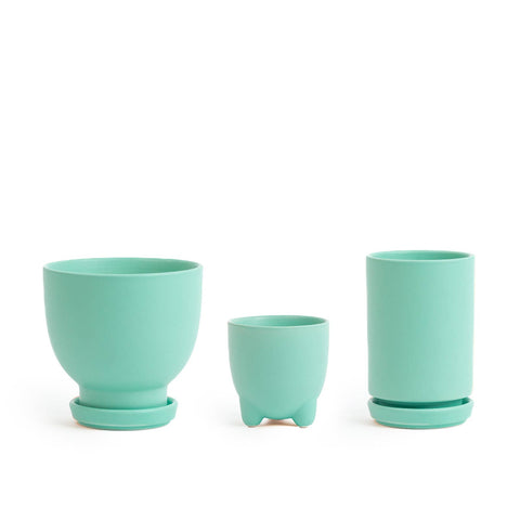 Plant Junkie Set - 16 pc/cspk: Textured Forest