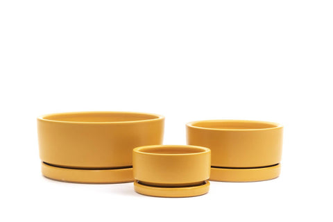 8.25" Gemstone Low-Bowls with Water Saucers: Dusty Rose