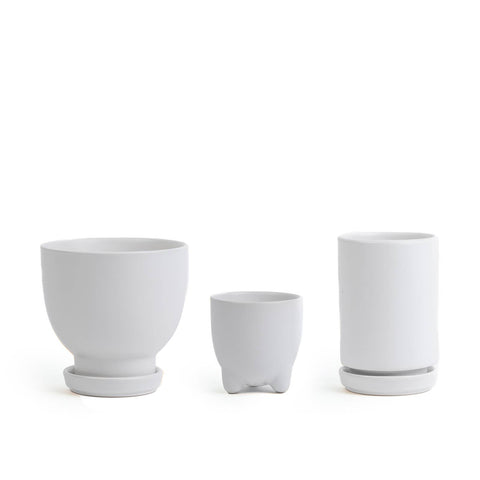 Plant Junkie Set - 16 pc/cspk: Textured Forest