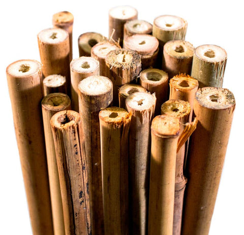 Bamboo Plant Stakes 24in 25 Pack: Natural