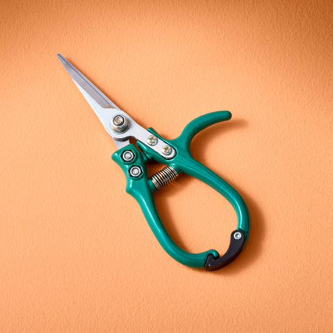 New Colors! Garden Shears : Sage