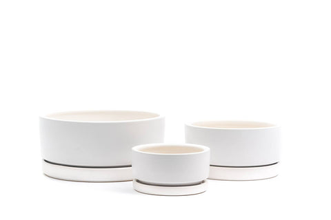 8.25" Gemstone Low-Bowls with Water Saucers: Dusty Rose