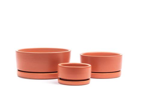 8.25" Gemstone Low-Bowls with Water Saucers: Dusty Rose