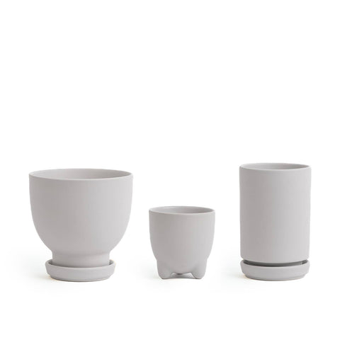 Plant Junkie Set - 16 pc/cspk: Textured Forest