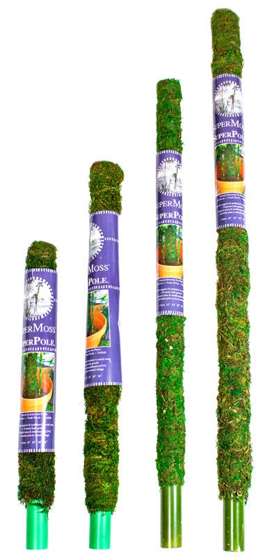 SuperMoss Moss Poles: 36"