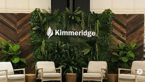 Modern interior with beige chairs and a brown sofa, with large plant display in the background, featuring the Kimmeridge brand logo.