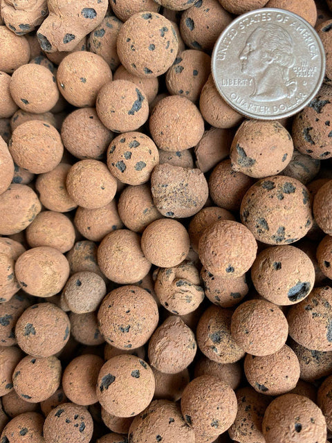 Amendments (1Qt) LECA Balls: 1 Quart