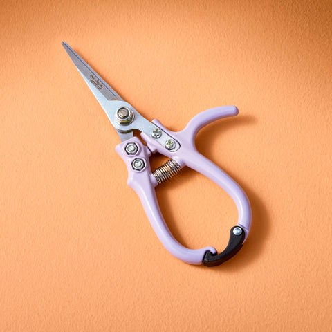 New Colors! Garden Shears : Sage