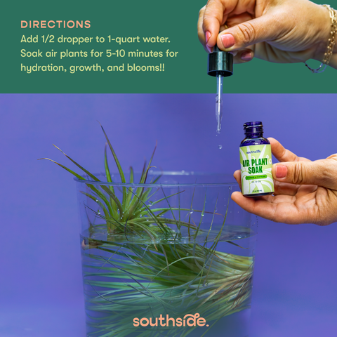 Air Plant Fertilizer - Spray and Soak: 1 oz
