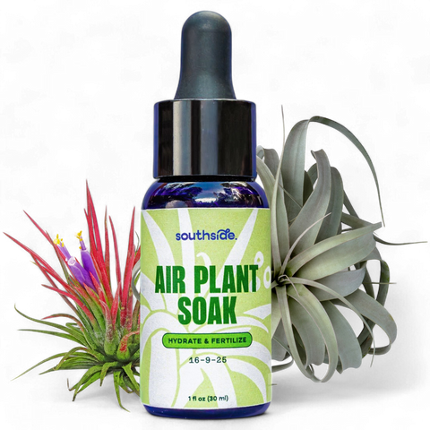 Air Plant Fertilizer - Spray and Soak: 8 oz