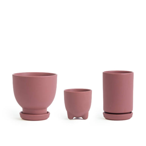 Plant Junkie Set - 16 pc/cspk: Textured Forest