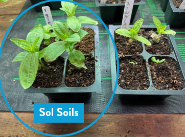 Soil (1Gal) Seedling & Propagation Mix: 1 Gallon (4 quarts)