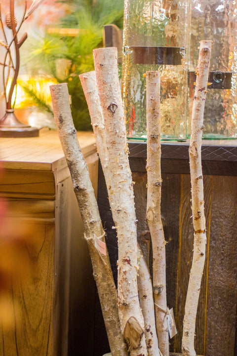 Birch Poles: 4 foot