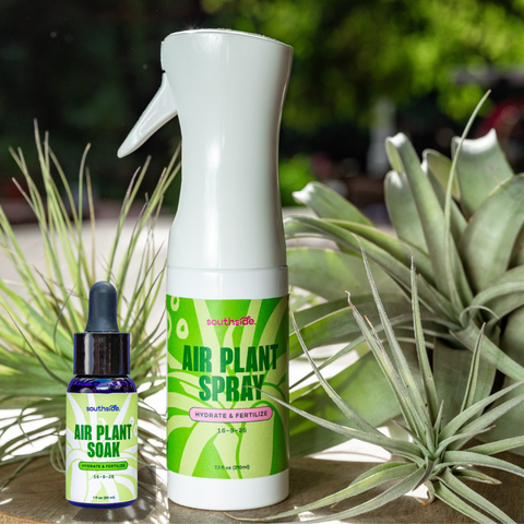 Air Plant Fertilizer - Spray and Soak: 1 oz