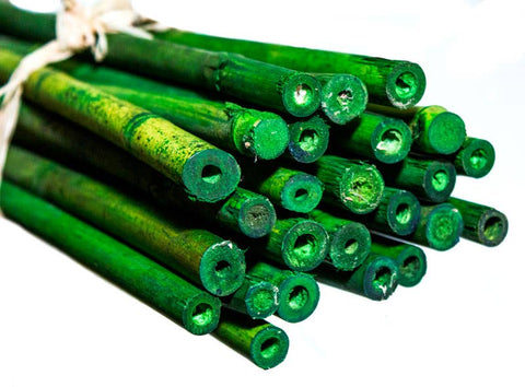 Bamboo Plant Stakes 24in 25 Pack: Natural